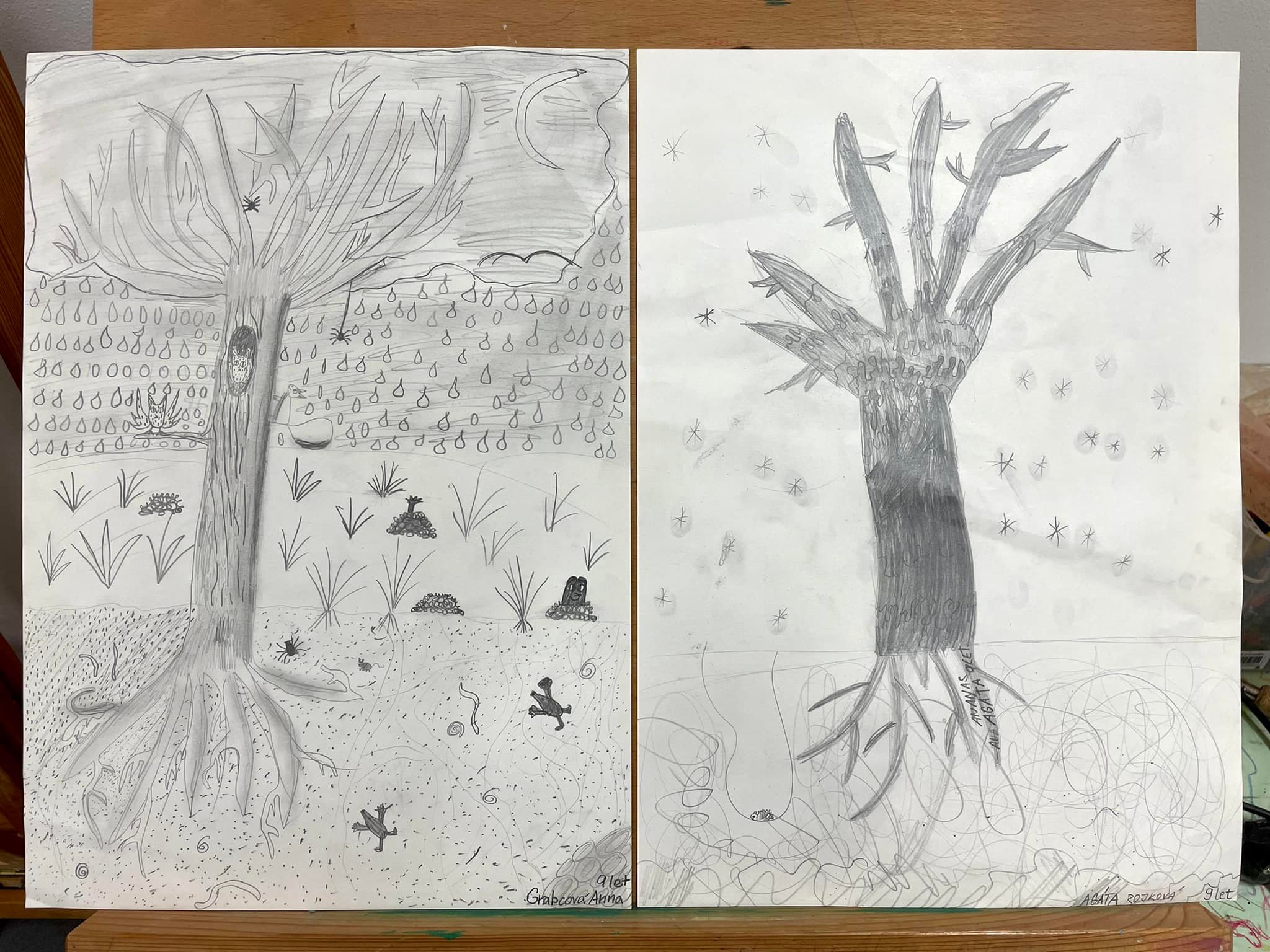 Kresba na téma - Koruna a kořen stromu