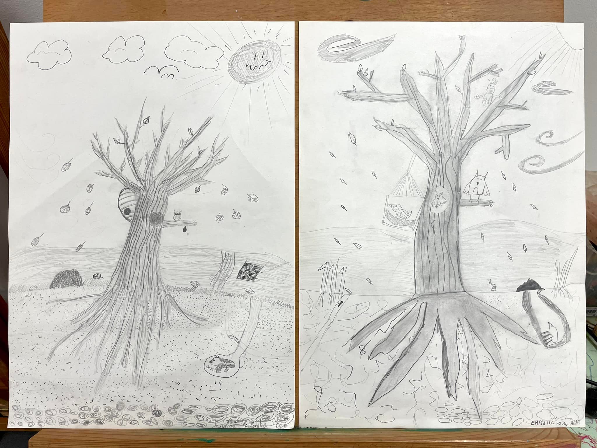 Kresba na téma - Koruna a kořen stromu